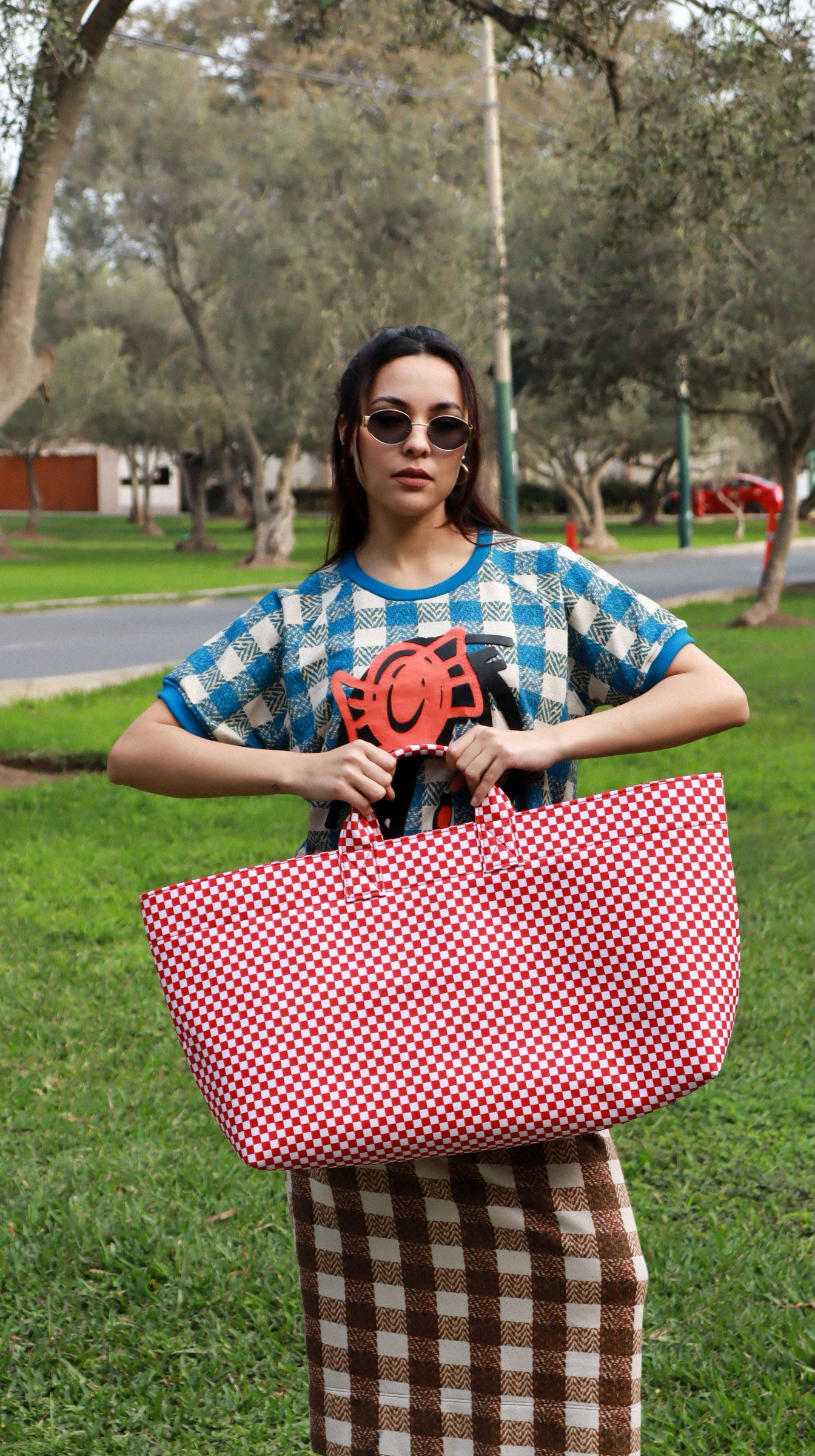 Large Red Tote Bag