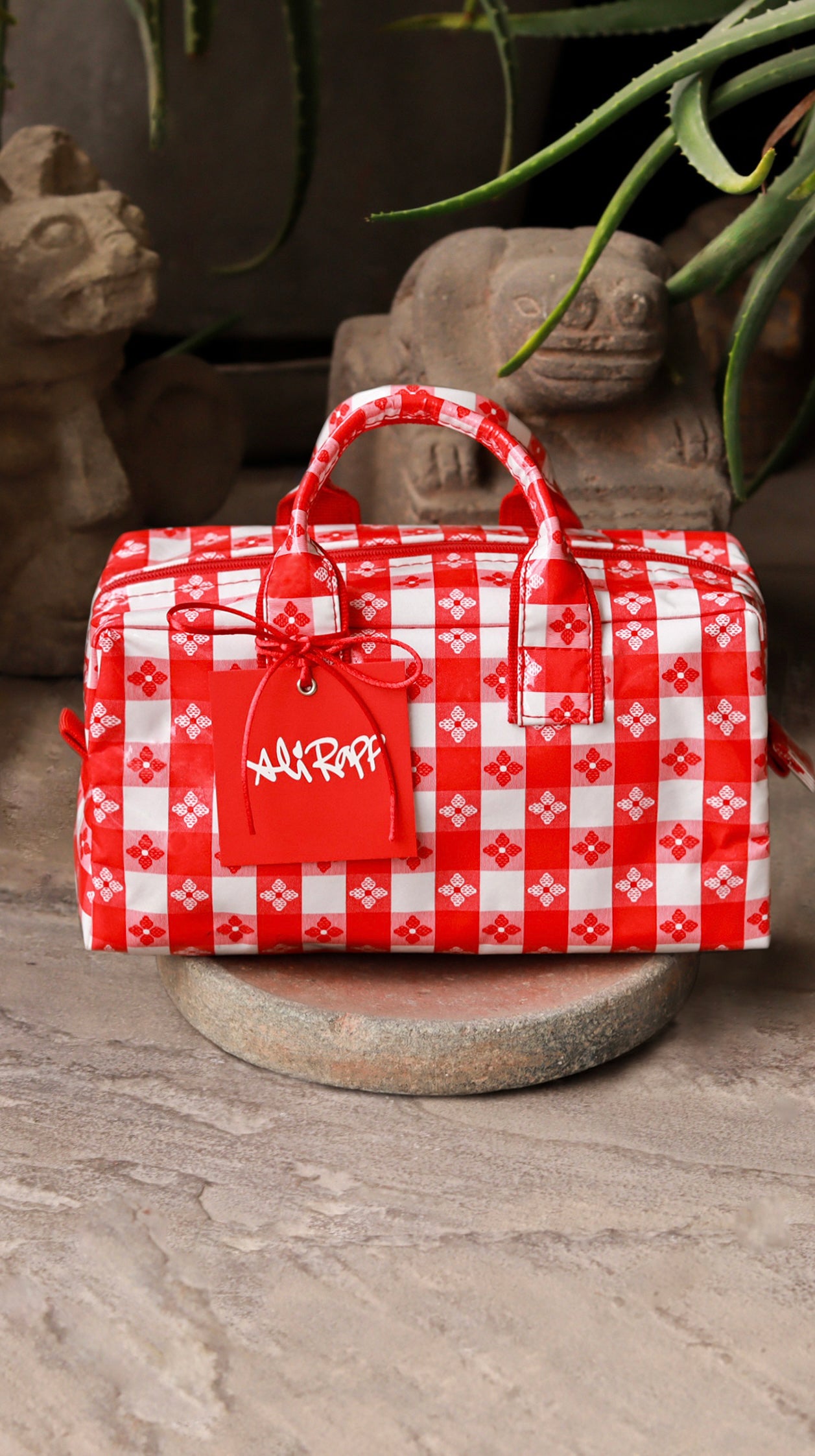Small Red Picnic Bag