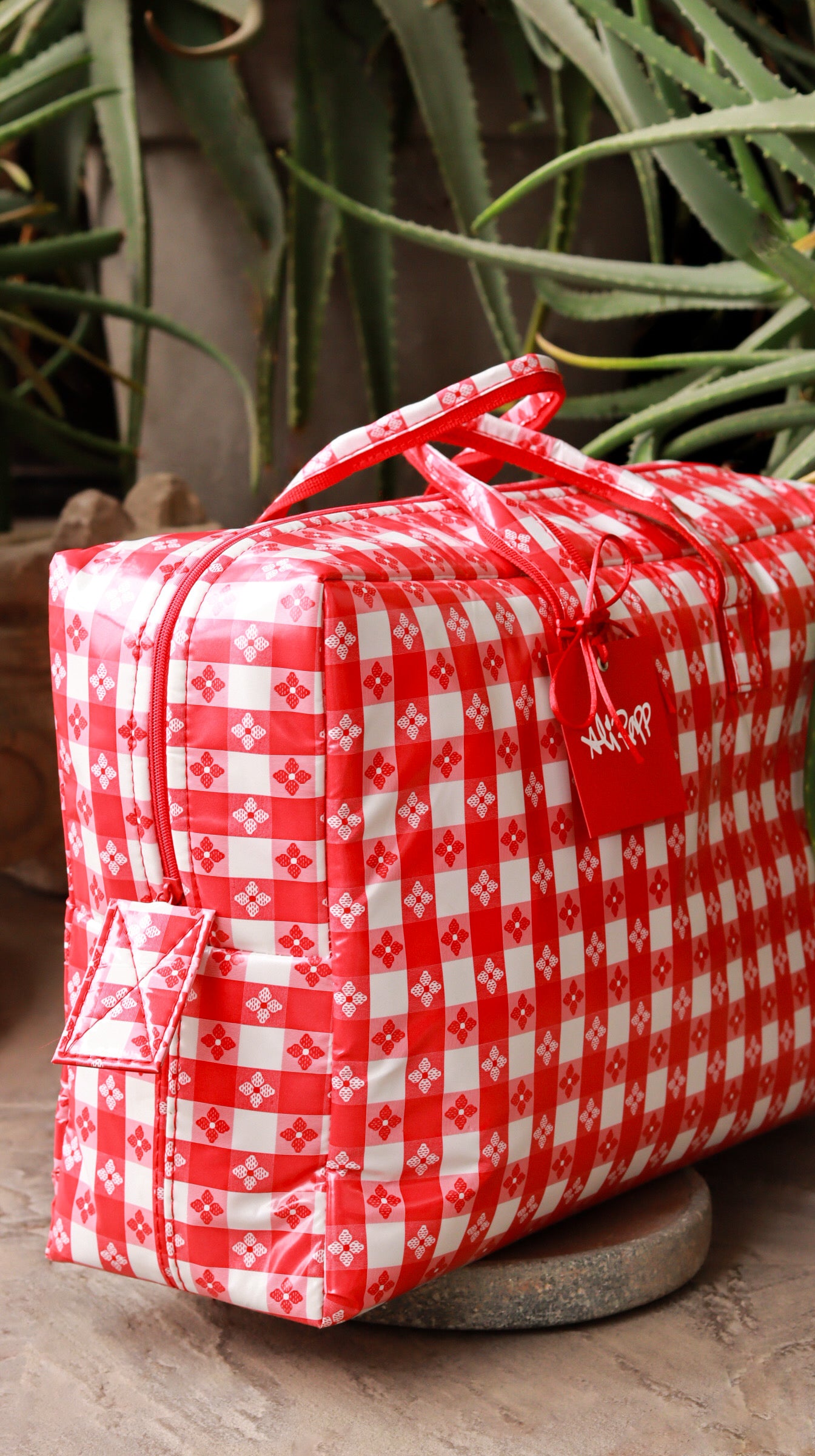 Large Red Picnic Bag