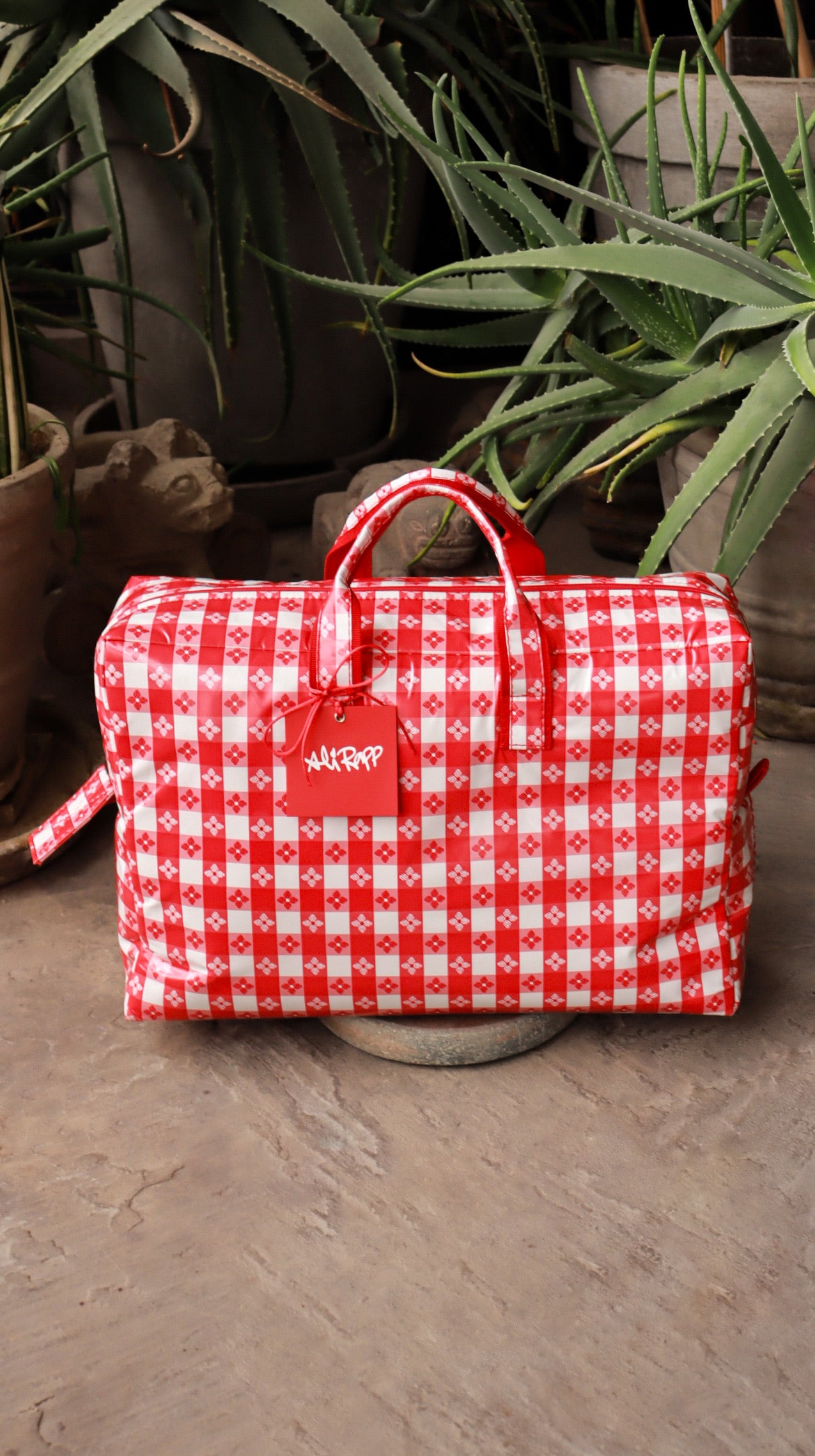 Large Red Picnic Bag